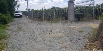 Bán đất vườn có sẳn thổ cư, cách QL1A 260m. Giá bán 70tr/m ngang