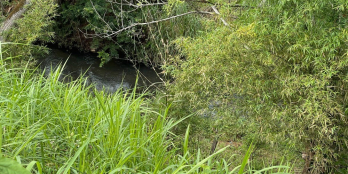 Đất nền Mộc Châu- Thiên đường khí hậu Đông Nam Á-cuộc sống xanh tại Sơn La