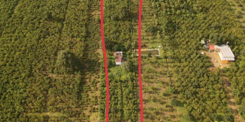 Dành cho ai muốn đất sào lớn có Wiew đẹp , thổ cư