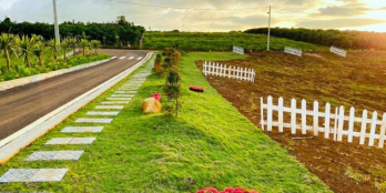 Đất nghĩ dưỡng Biệt Thự 500m View Hồ View Đồi Chè Tâm Châu giá chỉ 2.1 Tỷ