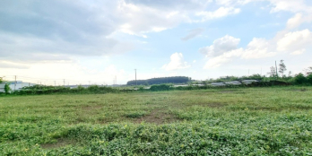 Bán Đất SHR, Thổ Cư Kế KCN Bàu Xéo Trảng Bom, DT 5x22, Giá Chỉ 1.25 Tỷ