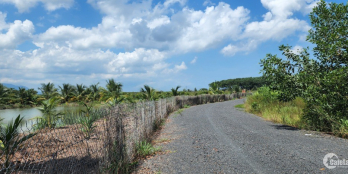 Tôi chính chủ muốn bán 4.3 mẫu đất ở Bình Châu, sổ riêng, đẹp