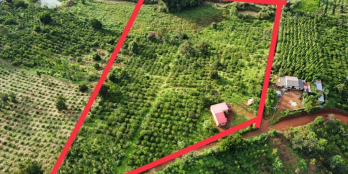 cách ql 14 hơn 1km.chỉ 65.000/m2 nguồn thu full rẫy,hiển thị 2 mặt đường