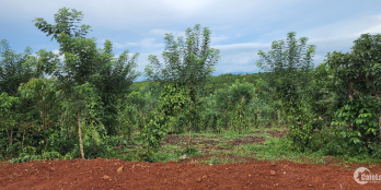 Đường nhựa chính Kiwuki, thổ cư, 2 mặt tiền, view kiwuki, shr