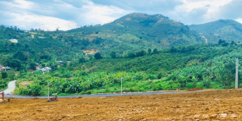 Chỉ 2,8tr/m có ngay đất view đồi thông, sổ tươi