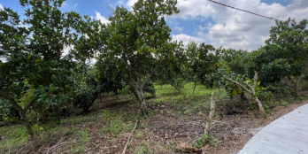 CẦN BÁN GẤP ĐẤT BÀU CẠN  , 1087M2  GIÁ THẤP HƠN THỊ TRƯỜNG