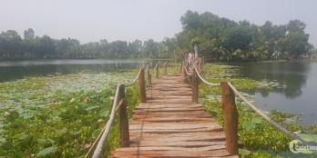 Sở hữu nông trại xanh 1000 m2 có hồ nước 11.000 m2 cách SG chỉ 1h giá chỉ 2,5 tỷ