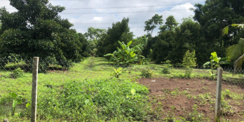 Đất Long Khánh đường bê tông 2tr2/m2, sổ hồng riêng. Ngay đường Lê A đi vào