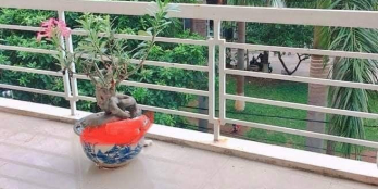 hot hot tại đây có bán nhà mặt tiền đường, nhà mới, giá tốt,tiện nghi