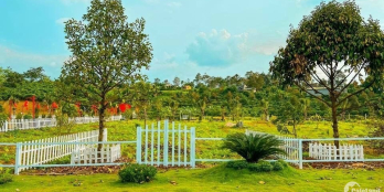 Chú tôi muốn bán miếng đất đối diện trường học 258m2 cách ql20 1km rẽ vào 540tr