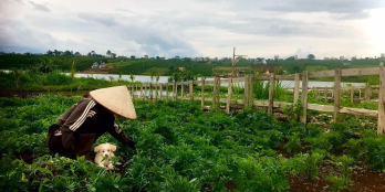 Bán đất nền view hồ Phúc Thọ Lâm Hà giá chỉ từ 4 triệu 1m2