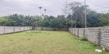 Bán đất 1000m tại Cư Yên, Lương Sơn, Hoà Bình