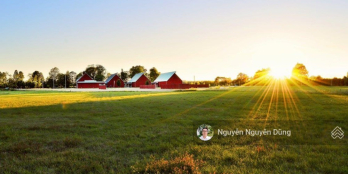 Đất farm sổ có đường, cam kết sinh lời ngắn hạn, đường ô tô vào tận nơi.