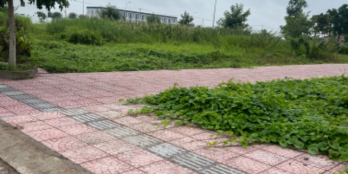 Bán nền mặt tiền đường 22m của The Sol City 5x20