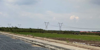 Đất mua cách đây vài tháng cần bán gấp do cần tiền