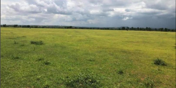 CẦN BÁN LÔ 1,9 HA MÀ CHỈ CÓ 120TR/SÀO NGAY HỒNG THÁI