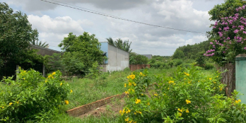 ĐẤT PHƯỚC BÌNH 1 SẸC , DÂN CƯ ĐÔNG ĐÚC CÁCH SÂN BAY LONG THÀNH 3KM