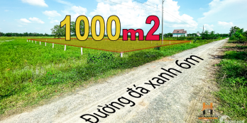 Hàng hiếm bán gấp lô 21x48 mặt tiền đá xanh 6m, chỉ 1tỷ680 được chuyển thổ.