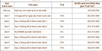 Nhận bảng giá chi tiết các đợt thanh toán, rổ hàng 1PN,2PN,3PN trực tiếp từ CĐT