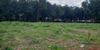 TÂN HIỆP PHỦ HỒNG 1143M2 GIÁ RẺ BÈO CHO NHÀ ĐẦU TƯ