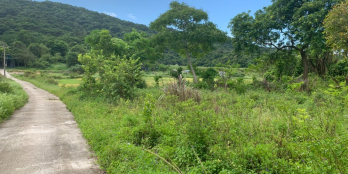 Siêu phẩm đất nền Cô Tô tiềm năng tăng giá cao giá chỉ 2 triệu/m2