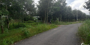 Đất Nền Liền Kề KCN Nam Đồng Phú