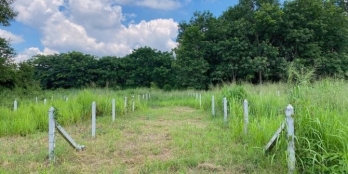 Nhà bác mình có mảnh đất 502m²ở Nguyễn Thị Rành, HCM giá rẻ.Shr