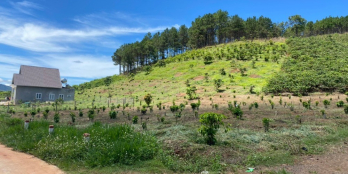 1.300m2 sẳn 100mTC -ven Đà Lạt - 2 tỷ