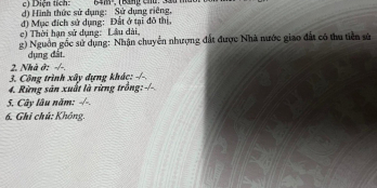 Đất ngay TT thị trấn Thủ Thừa 64m2 SHR đường số 4 8m nhựa giá 1 tỷ 250tr