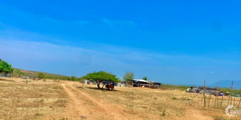 HÀNG HIẾM đất sào 3012m2 cách khu TMDV 500m , sát biển  giá 994 triệu