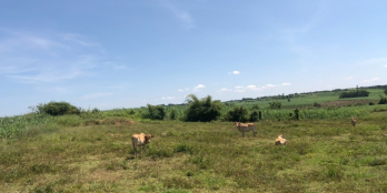 Bán lô đất nông nghiêp, 2 mặt tiền, giá rẻ chưa tới 40k/m2 ngay tại Kbang.