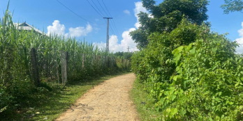 Chính Chủ cần bán gấp 1600m gần khu du lịch tại Cao Phong Hoà Bình giá rẻ