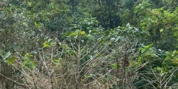 Bán đất Tà Nung, Đà Lạt, Lâm Đồng