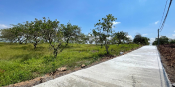 Vườn đầu tư mặt tiền 14m ngay bê tông ngay ql20 gần hồ Trị An NH hỗ trợ 70%