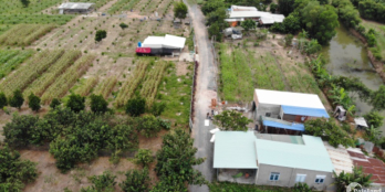 Cần bán nhanh vườn bưởi đầu tư ngay cao tốc giá cực sốc