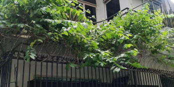 Bán Nhà Hẻm Xe Hơi Lô Góc Út Tich Ngang 6m5 Giá 10 tỷ Hơn Chút