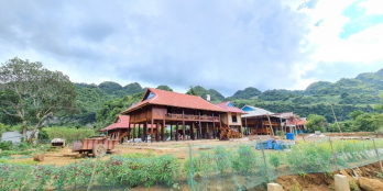 Bán đất Rừng Thông Bản Áng Mộc Châu, 3.5 tỷ, 23m Mặt tiền, Ngõ rộng