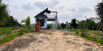 Nhà vườn 1ha chủ ngộp đang cần bán gấp ngay mặt tiền đường nhựa