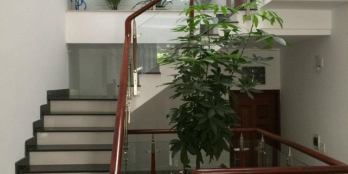 Cho Thuê Nhà Nguyên Căn Phường Phú Mỹ, Quận 7