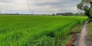 Bình Lợi bán Gấp nhà Vườn 8x20 SHR giá 1tỷ2