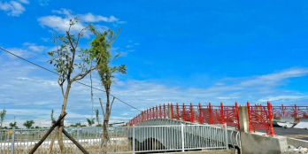 Cô Mai cần bán lô đất Biệt Thự 220m2 Trung Tâm TT Thủ Thừa SHR