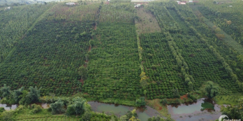 cách ql chỉ 3km,pháp lí rõ ràng, đường đi trên sổ,đất thoải đẹp,