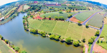 Đất nền view hồ tại Bảo Lộc giá đầu tư sổ sẵn