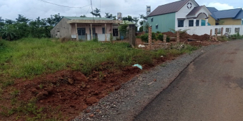 đất đambri_bảo lộc hỉ 225tr/m giá quá rẻ đầu tư