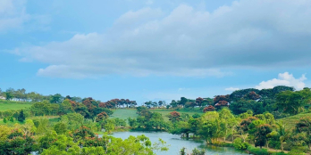 Đất bảo lộc view hồ , đồi thông 1000m2 sẵn thổ cư
