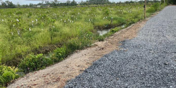 1000m2 View kênh mát mẻ - giá 1ty280tr , thương lượng . Đất đang trồng na Thái