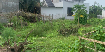 Bán  đất full thổ cư ngay bến phà Bạch Đằng, Bình Lợi, Vĩnh Cửu, Đồng Nai