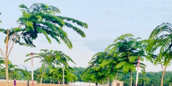 Đất KDC Đón đầu SÂN BAY LONG THÀNH 100m2 Chỉ 750tr