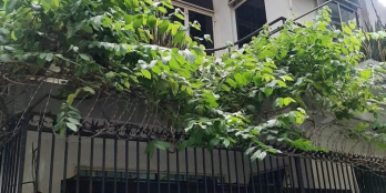 BIỆT THỰ ÍT TIỀN VẪN MUA ĐƯỢC - CÁCH SÂN BAY 10P