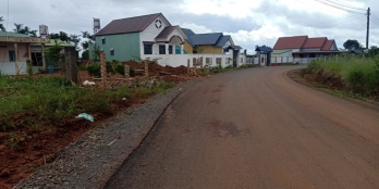 ĐAMBRI GIÁ ĐẦU TƯ- đất nền bảo lộc lâm đồng